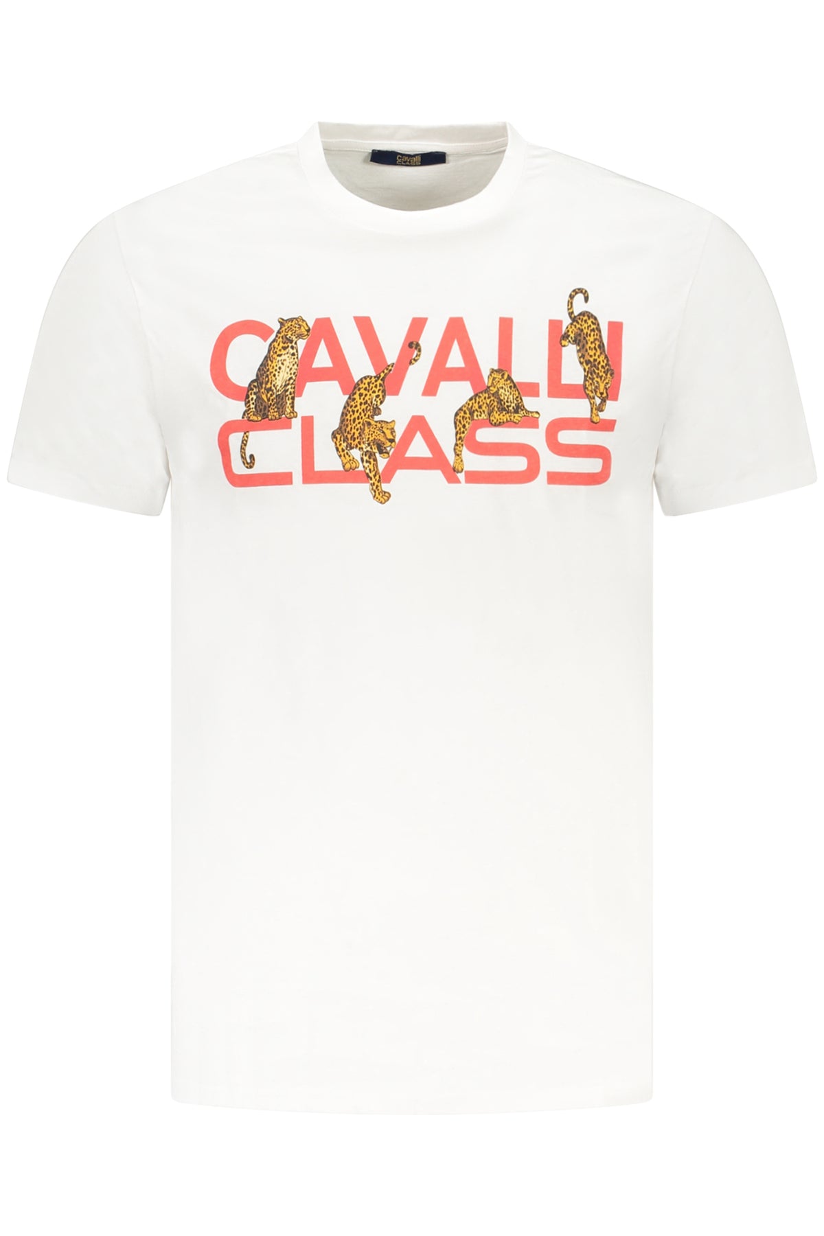 Cavalli Class T-Shirt Maniche Corte Uomo Bianco