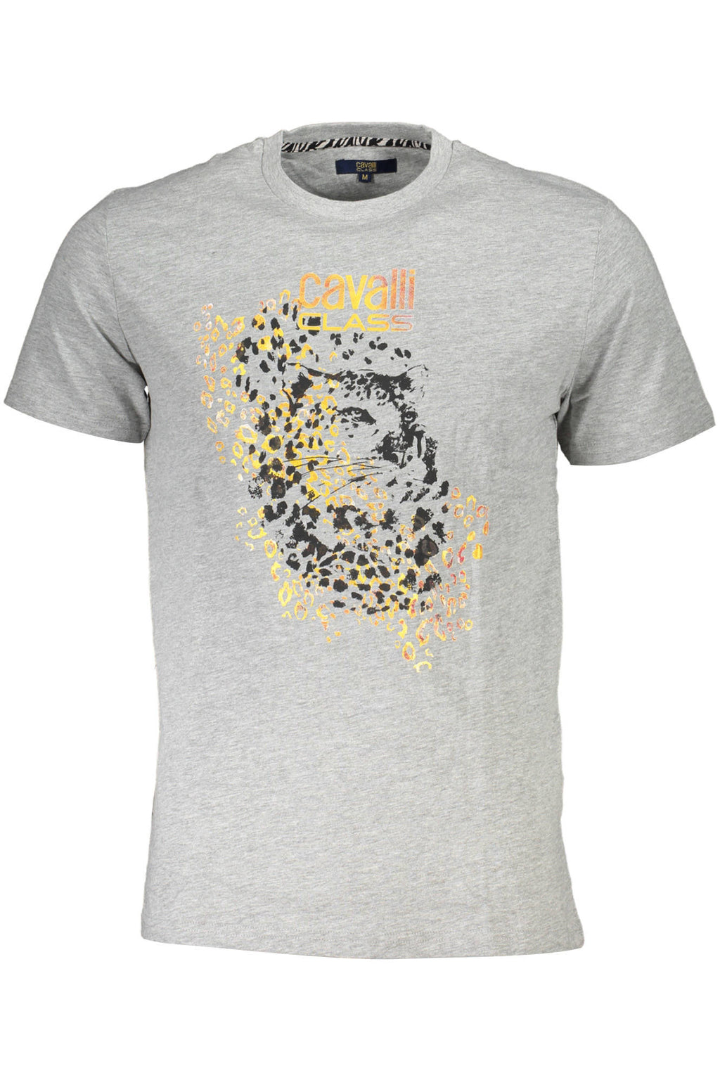 Cavalli Class T-Shirt Maniche Corte Uomo Grigio